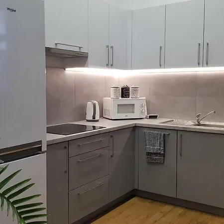 Apartament Szwedzki Apartment Nowy Sacz