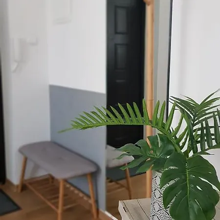 Apartament Szwedzki Apartment *